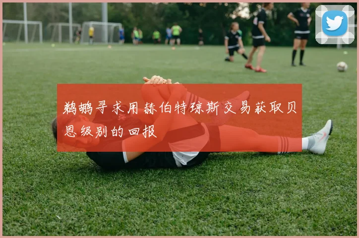 鹈鹕寻求用赫伯特琼斯交易获取贝恩级别的回报
