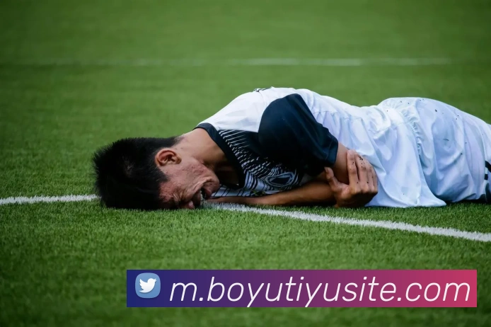 博鱼体育平台生态图