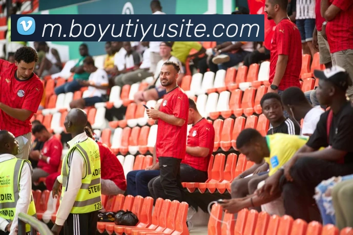 博鱼体育APP 封面图